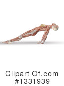 Anatomy Clipart #1331939 by KJ Pargeter