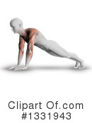 Anatomy Clipart #1331943 by KJ Pargeter