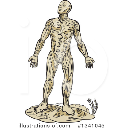 Royalty-Free (RF) Anatomy Clipart Illustration by patrimonio - Stock Sample #1341045