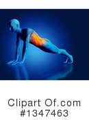 Anatomy Clipart #1347463 by KJ Pargeter