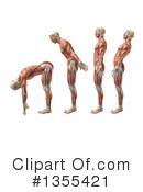 Anatomy Clipart #1355421 by KJ Pargeter