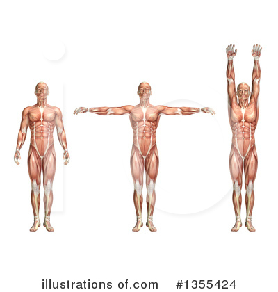 Royalty-Free (RF) Anatomy Clipart Illustration by KJ Pargeter - Stock Sample #1355424