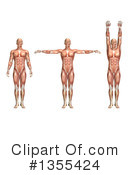 Anatomy Clipart #1355424 by KJ Pargeter