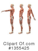 Anatomy Clipart #1355425 by KJ Pargeter