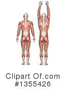 Anatomy Clipart #1355426 by KJ Pargeter