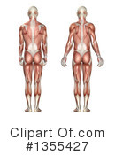 Anatomy Clipart #1355427 by KJ Pargeter