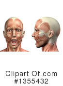 Anatomy Clipart #1355432 by KJ Pargeter