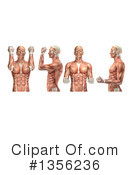 Anatomy Clipart #1356236 by KJ Pargeter