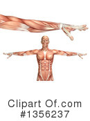 Anatomy Clipart #1356237 by KJ Pargeter