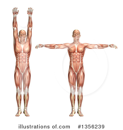 Physical Therapy Clipart #1356239 by KJ Pargeter