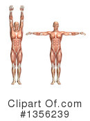 Anatomy Clipart #1356239 by KJ Pargeter
