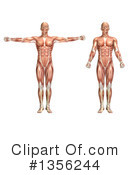 Anatomy Clipart #1356244 by KJ Pargeter