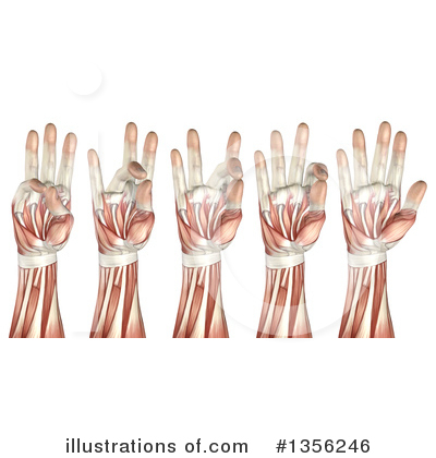 Hands Clipart #1356246 by KJ Pargeter
