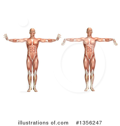 Physical Therapy Clipart #1356247 by KJ Pargeter