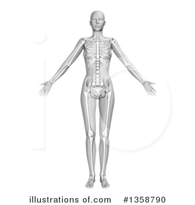 Skeleton Clipart #1358790 by KJ Pargeter