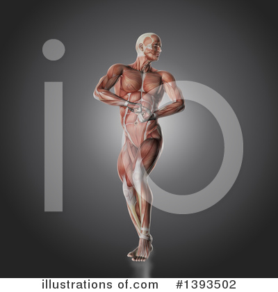 Royalty-Free (RF) Anatomy Clipart Illustration by KJ Pargeter - Stock Sample #1393502