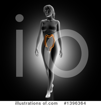 Royalty-Free (RF) Anatomy Clipart Illustration by KJ Pargeter - Stock Sample #1396364