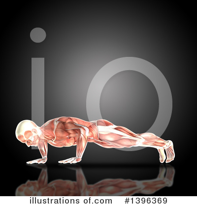 Muscle Clipart #1396369 by KJ Pargeter