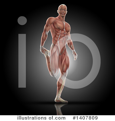 Royalty-Free (RF) Anatomy Clipart Illustration by KJ Pargeter - Stock Sample #1407809