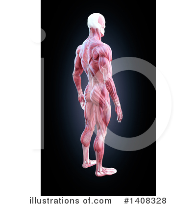 Royalty-Free (RF) Anatomy Clipart Illustration by Mopic - Stock Sample #1408328