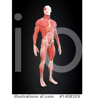 Royalty-Free (RF) Anatomy Clipart Illustration by Mopic - Stock Sample #1408329