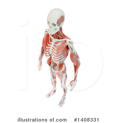 Royalty-Free (RF) Anatomy Clipart Illustration by Mopic - Stock Sample #1408331