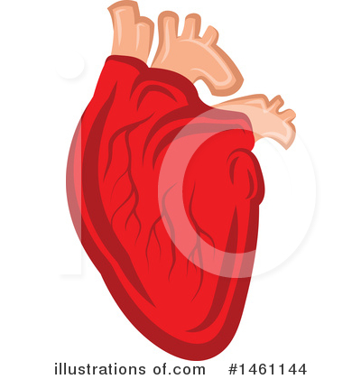 Human Heart Clipart #1461144 by Vector Tradition SM