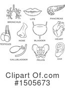 Anatomy Clipart #1505673 by Vector Tradition SM