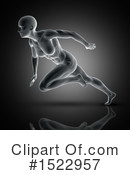 Anatomy Clipart #1522957 by KJ Pargeter
