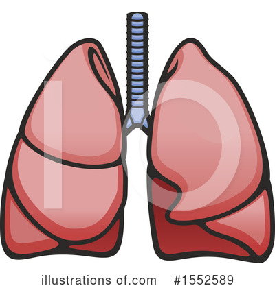 Lungs Clipart #1552589 by Vector Tradition SM