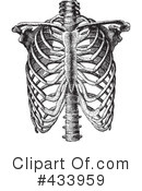 Anatomy Clipart #433959 by BestVector