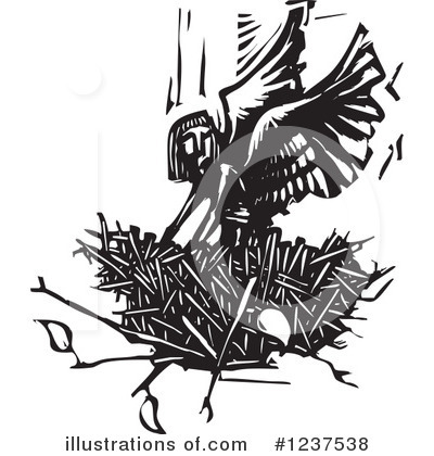 Bird Nest Clipart #1237538 by xunantunich