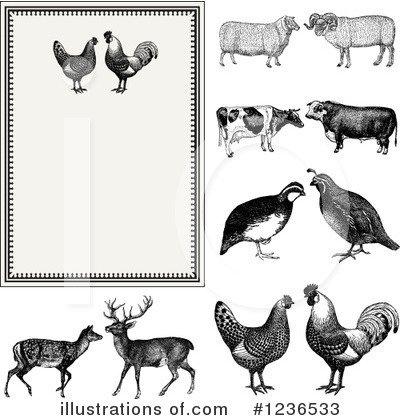 Chickens Clipart #1236533 by BestVector