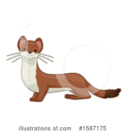 Weasel Clipart #1587175 by BNP Design Studio