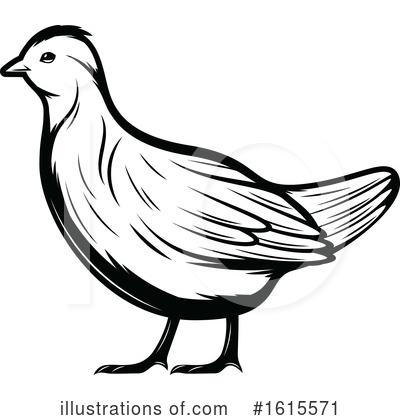 Quail Clipart #1615571 by Vector Tradition SM