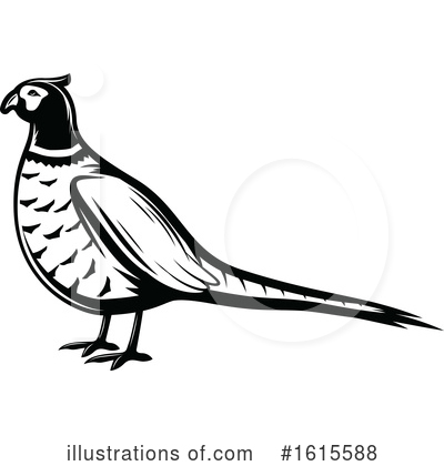 Pheasant Clipart #1615588 by Vector Tradition SM