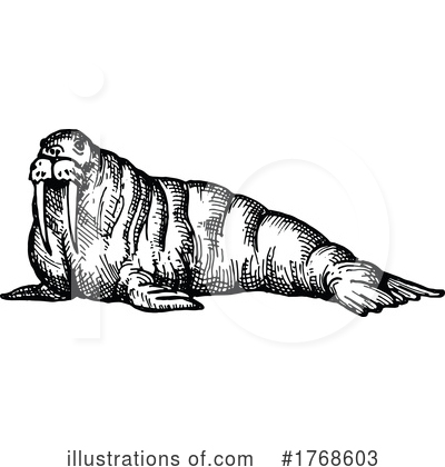 Walrus Clipart #1768603 by Vector Tradition SM