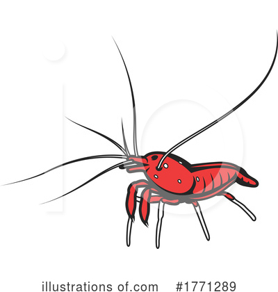 Shrimp Clipart #1771289 by Vector Tradition SM