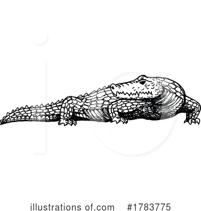 Alligator Clipart #1783775 by Vector Tradition SM