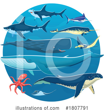Shark Clipart #1807791 by Vector Tradition SM