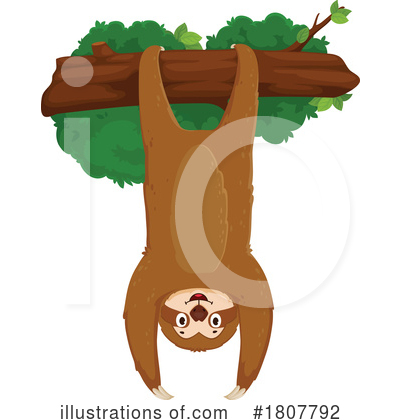 Sloth Clipart #1807792 by Vector Tradition SM