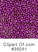 Animal Print Clipart #36291 by KJ Pargeter