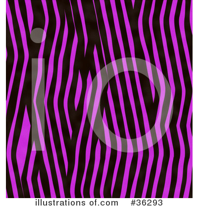Zebra Print Clipart #36293 by KJ Pargeter