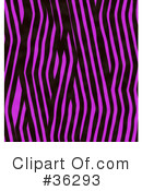 Animal Print Clipart #36293 by KJ Pargeter