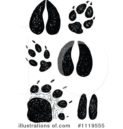 Animal Tracks Clipart #1098071 - Illustration by visekart