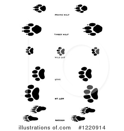 Royalty-Free (RF) Animal Tracks Clipart Illustration by Picsburg - Stock Sample #1220914