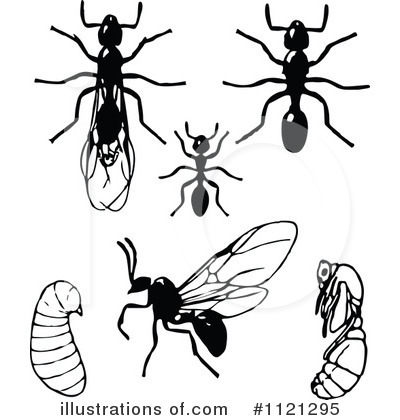 Royalty-Free (RF) Ant Clipart Illustration by Prawny Vintage - Stock Sample #1121295