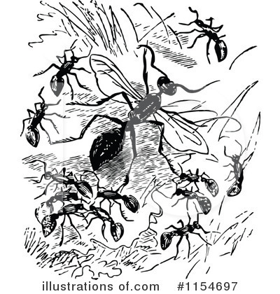 Royalty-Free (RF) Ant Clipart Illustration by Prawny Vintage - Stock Sample #1154697
