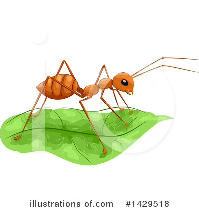 Royalty-Free (RF) Ant Clipart Illustration by BNP Design Studio - Stock Sample #1429518