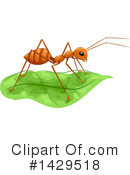 Ant Clipart #1429518 by BNP Design Studio
